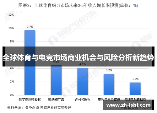 全球体育与电竞市场商业机会与风险分析新趋势