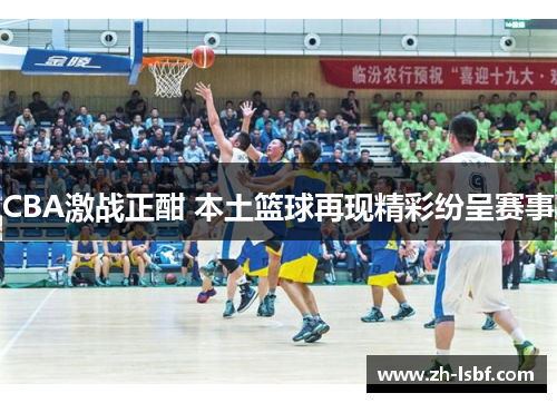 CBA激战正酣 本土篮球再现精彩纷呈赛事